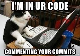 Coding Cat